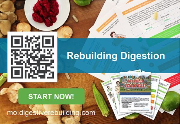 Rebuilding Digestion Workshop